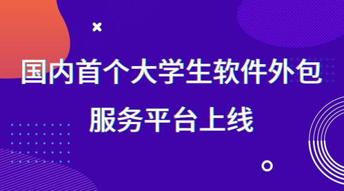 國內首個大學生軟件外包服務平臺正式上線，賦能創新實踐與技術人才培養