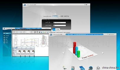 企業應用軟件開發外包與定制服務